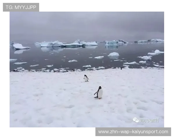 极地赛事成网红!南极高尔夫挑战赛背后的故事曝光 极地赛事成网红!南极高尔夫挑战赛背后的故事曝光